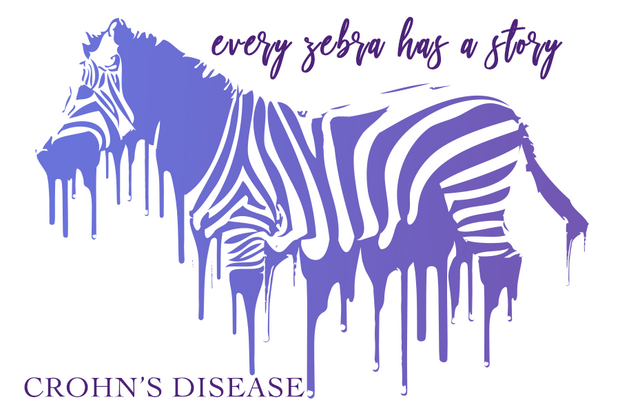 Every Zebra Has a Story... What's Yours? (EDS) - RARE.